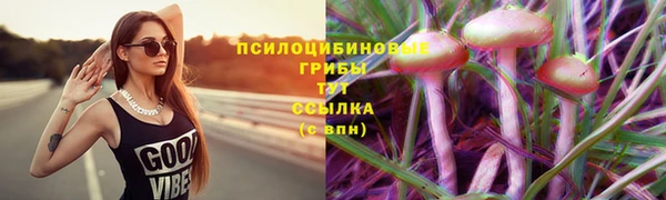 меф Беломорск