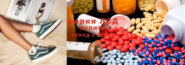 spice Белокуриха