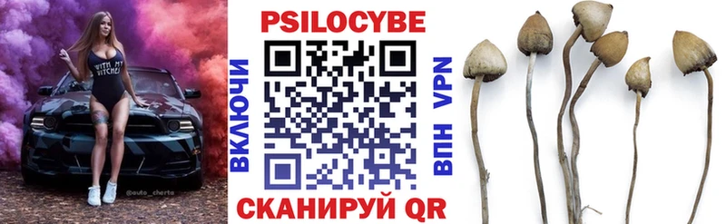 цены наркотик  Покровск  blacksprut сайт  Псилоцибиновые грибы Psilocybine cubensis 